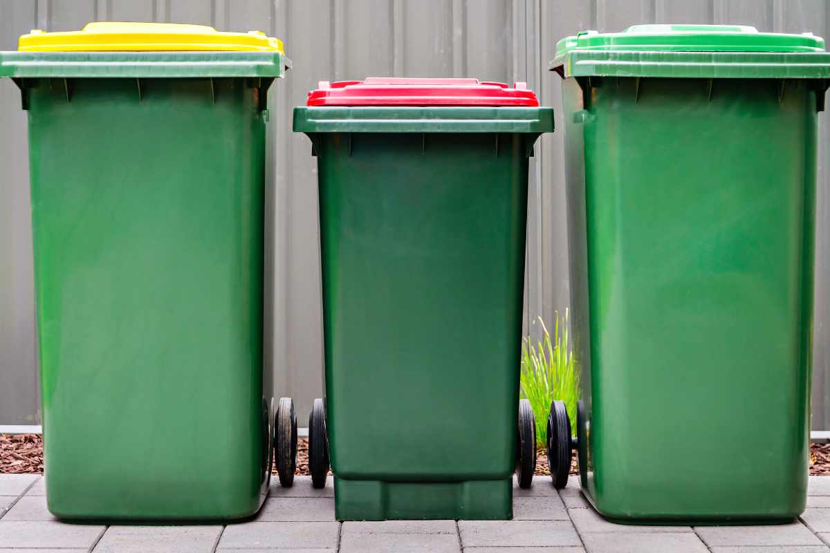 Clean waste bins and organized collection point