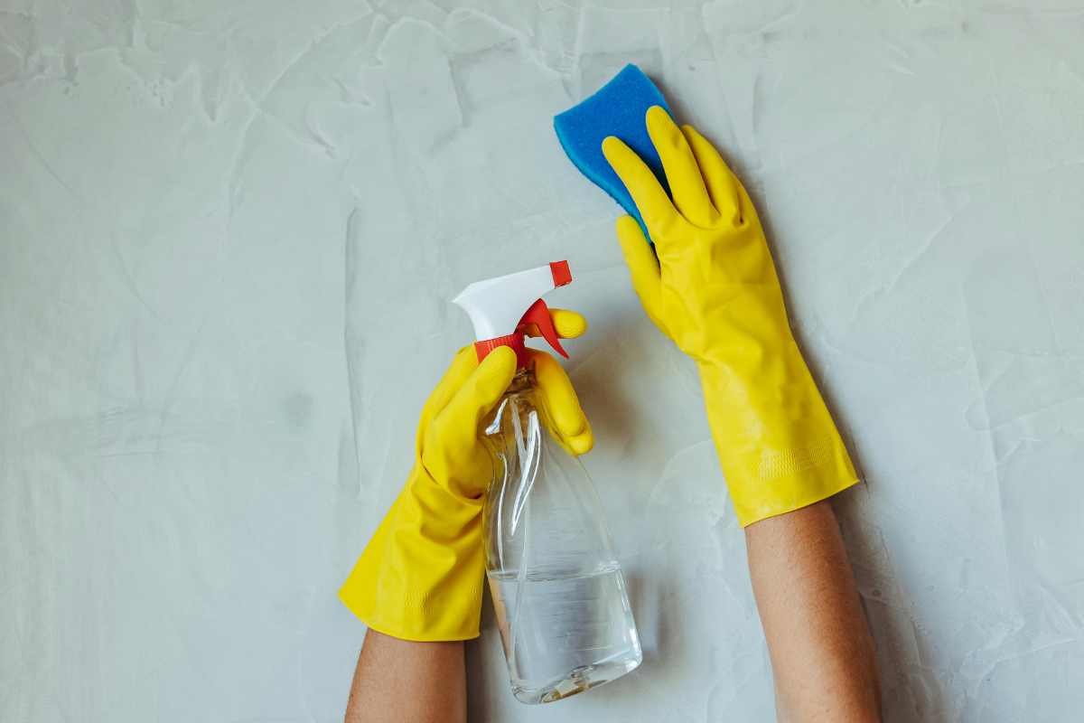 Hands cleaning wall with spray bottle and sponge