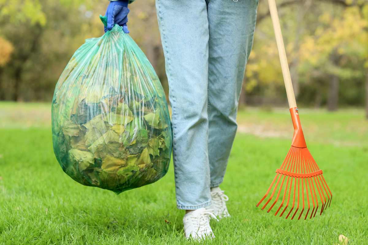 Person collecting waste bags for removal