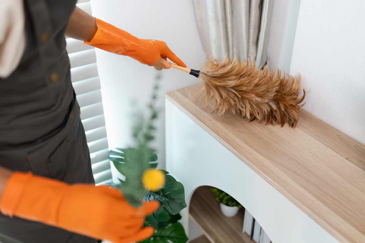 Professional housekeeper dusting shelf with feather duster