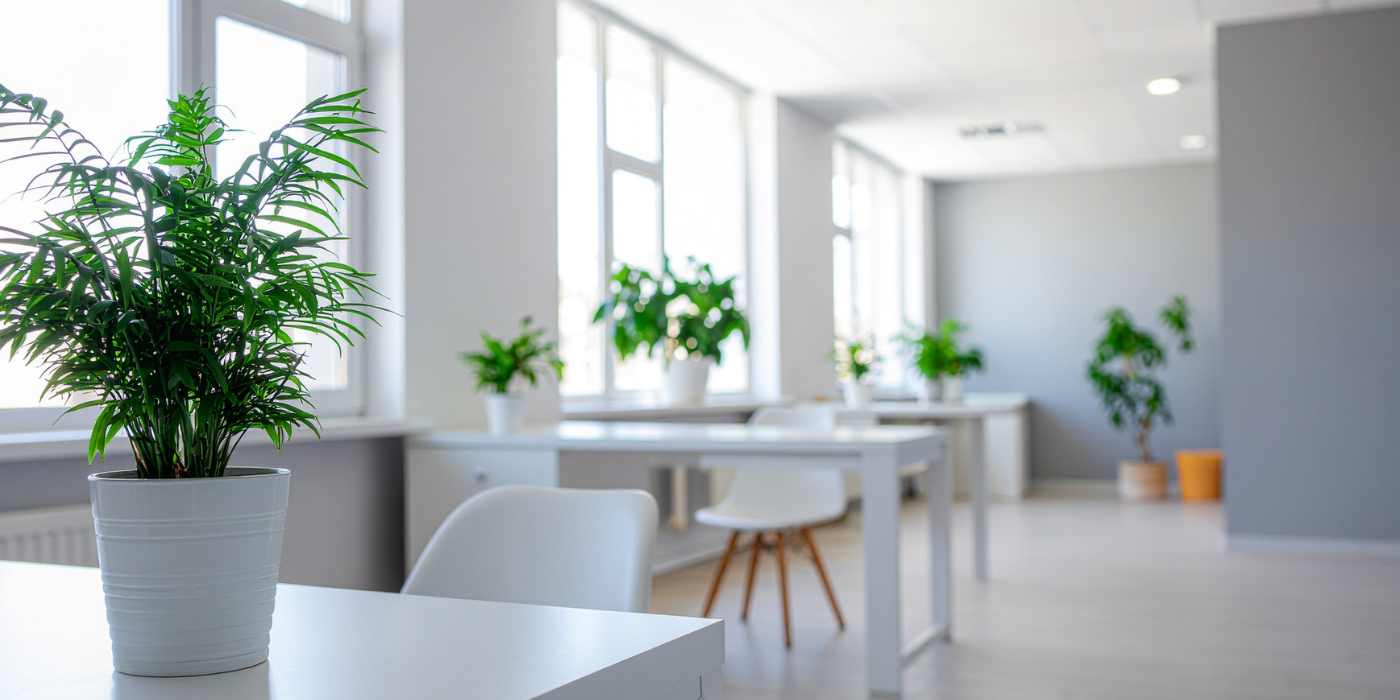 Clean modern office after office furniture cleaning service